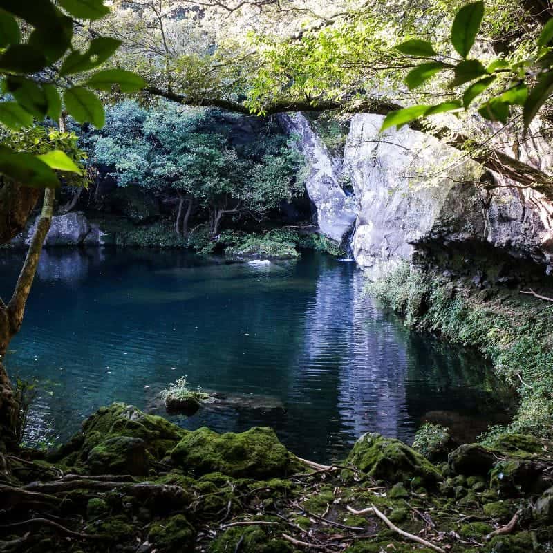 [제주] 자연과 나를 만나는 시간 (11/9-10) 사진 3