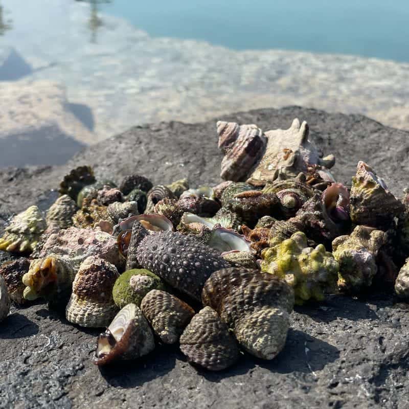 [제주] 자연과 나를 만나는 시간 (11/9-10) 사진 4