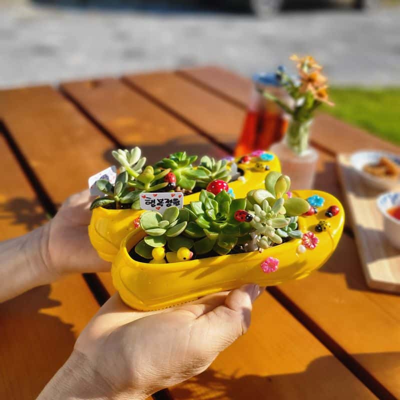 [아산/당일] 불멍 + 꽃차 + 나만의 미니정원 만들기 사진 1