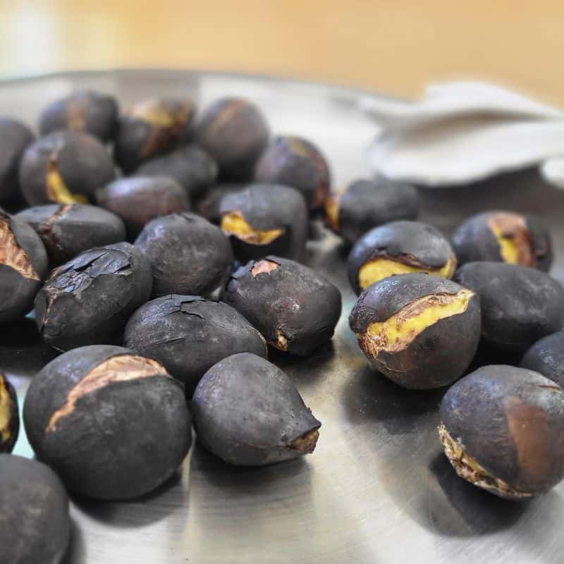 [아산/당일] 불멍 + 꽃차 + 나만의 미니정원 만들기 사진 3