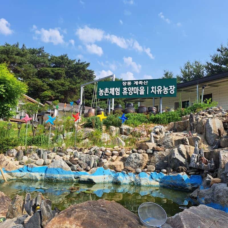 [대전/당일] 황토염색+칼국수,강정 만들기+오색주먹밥 사진 5