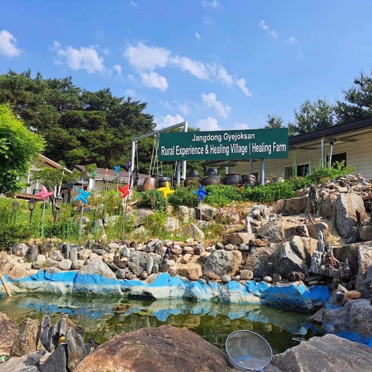 [Daejeon/Day Trip] Yellow Soil Dyeing + Making Kalguksu & Gangjeong + Five-color Rice Balls photo 5