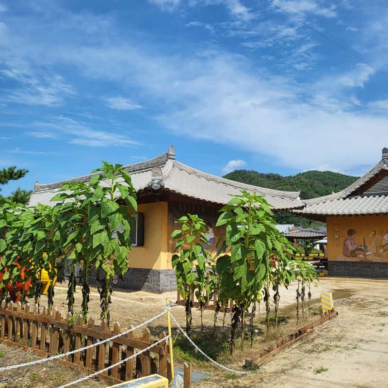 [안동/1박] 안동포 그리기 + 안동 찜닭과 국시  사진 1