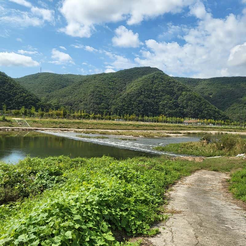[안동/1박] 안동포 그리기 + 안동 찜닭과 국시  사진 6