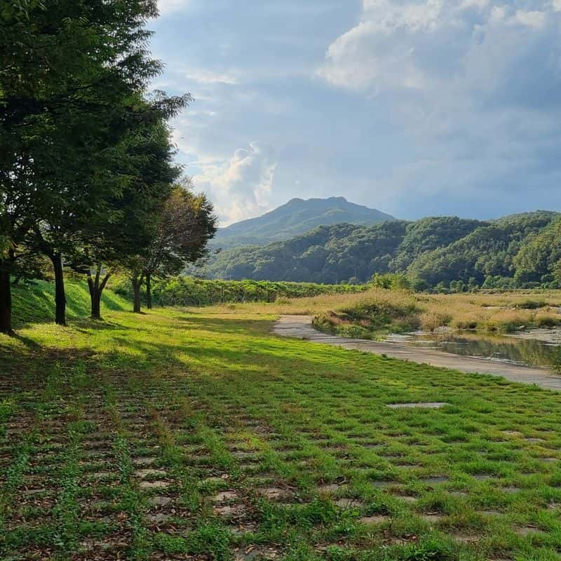 [상주/1박] 추억을 담는 목공 체험 + 곶감 디저트 사진 5