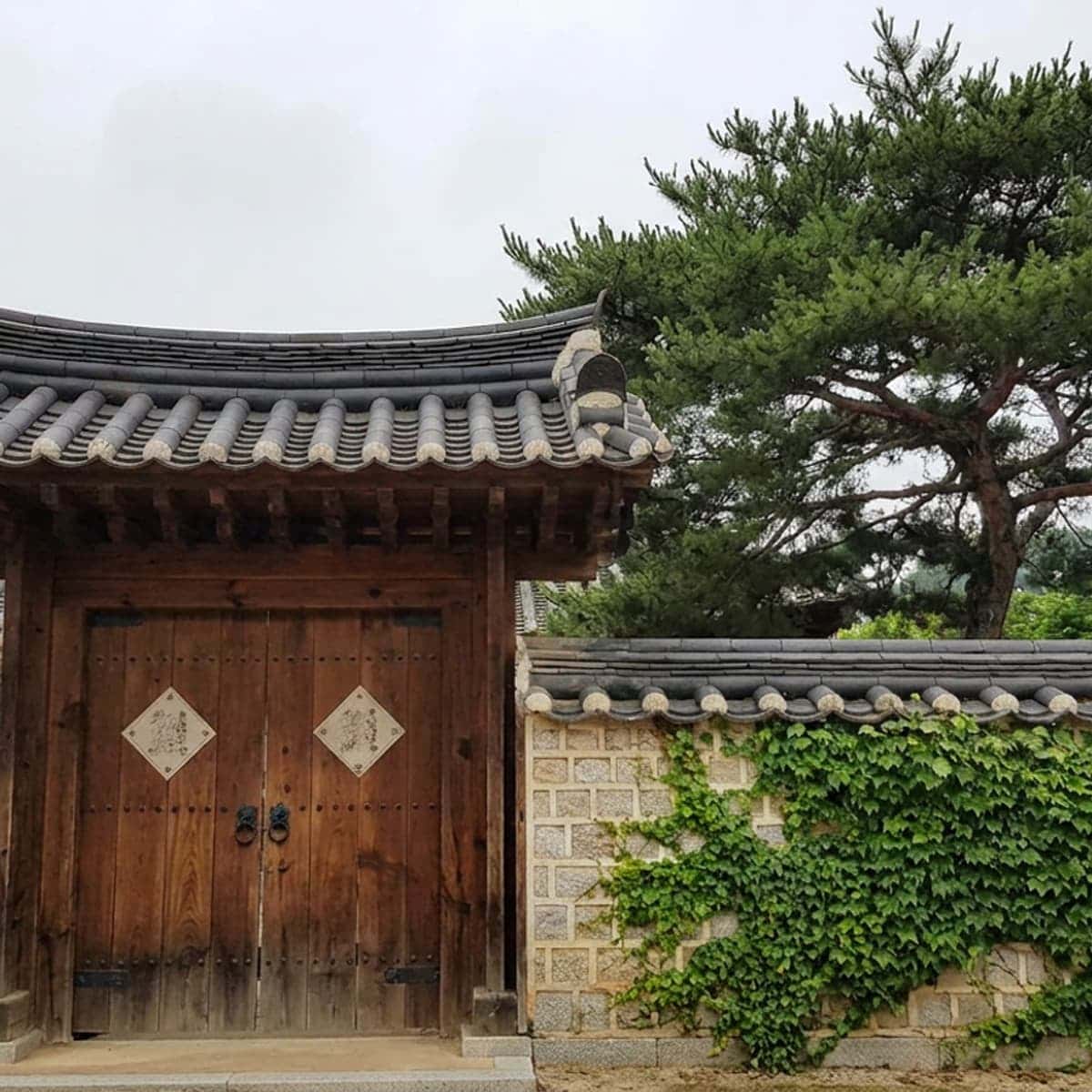 [歴史旅行/安東] 安東歴史旅行の写真3