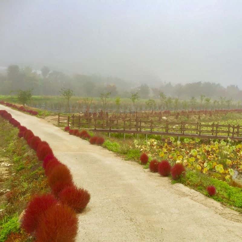 [인제/1박]싱잉볼 명상+노르딕워킹+식사2끼 사진 5