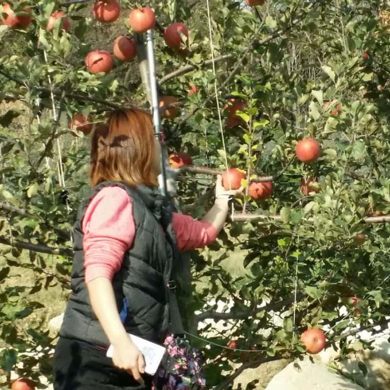 [인제/1박]싱잉볼 명상+노르딕워킹+식사2끼 사진 6