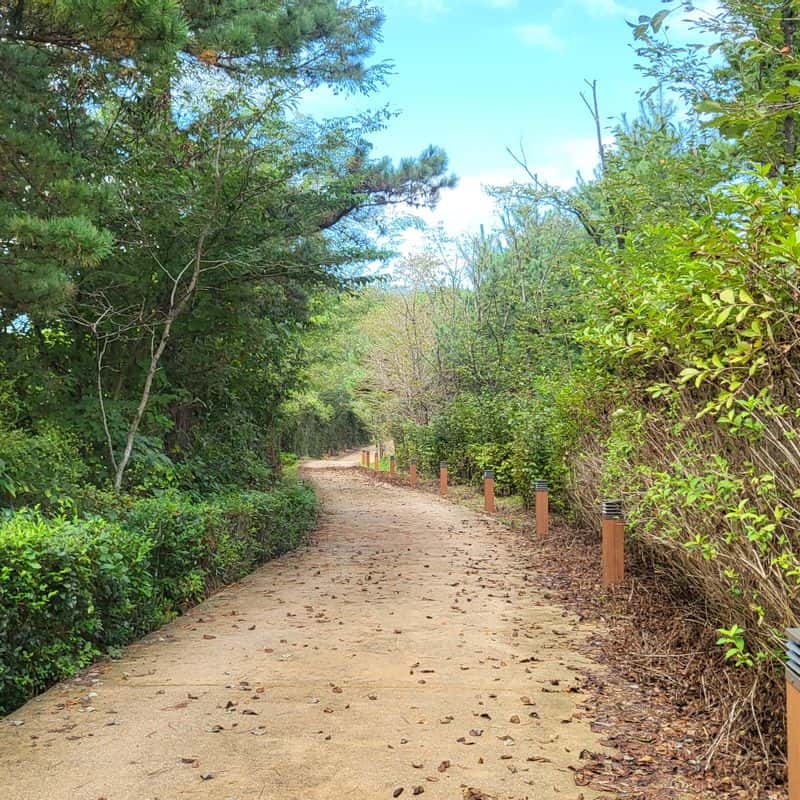 [고창/1박]반려견동반 자연속 힐링 +수제건강간식 체험 사진 8