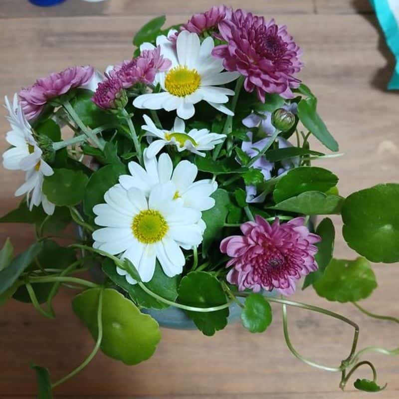 [천안] 도자기체험+원예테라피 사진 1