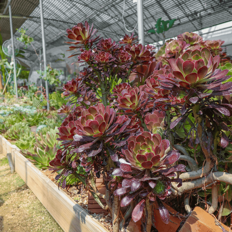 [천안] 도자기체험+원예테라피 사진 4