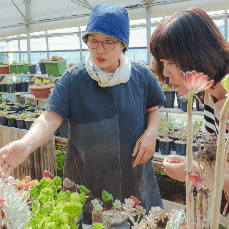[천안] 도자기체험+원예테라피 사진 7
