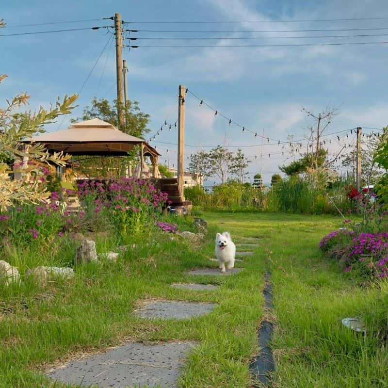 [장수/1박] 치유농장, 유정란 부자의 농생명 이야기 사진 2