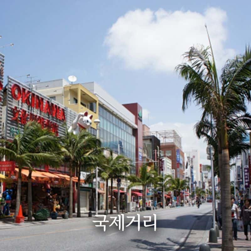 [크루즈고객 전용 기항지 투어] 일본 오키나와 사진 2