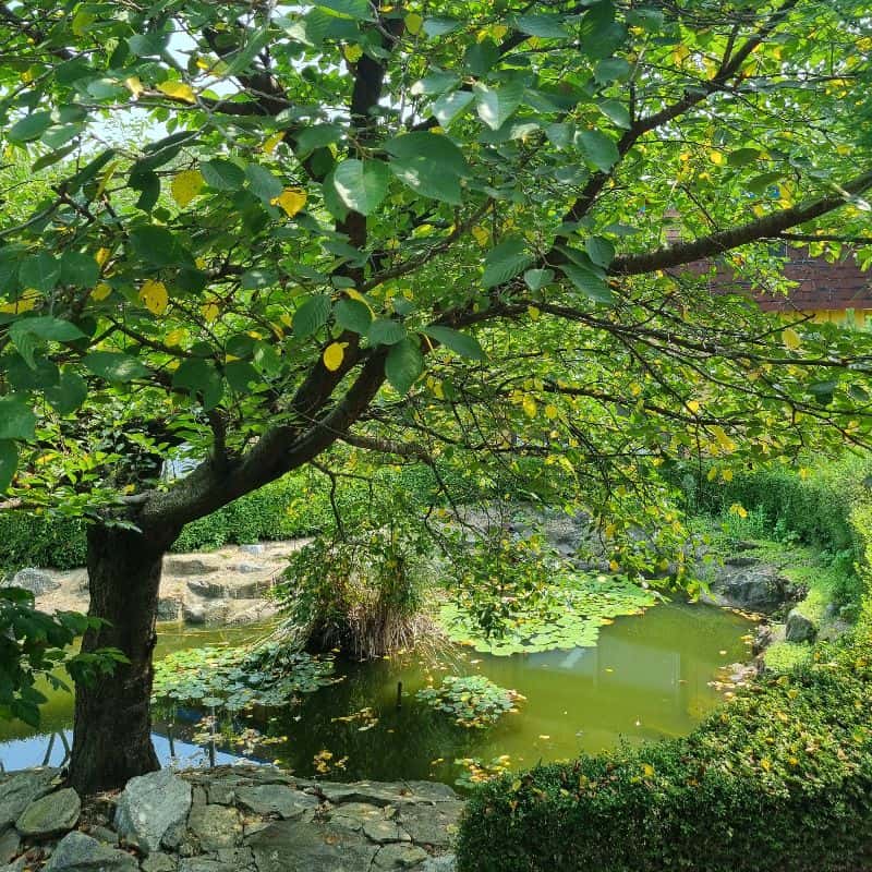 [아산] 전통 한옥과 자연이 어우러진 특별한 하루 사진 5