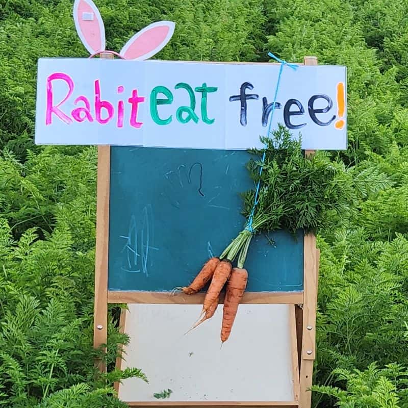 [아산] 전통 한옥과 자연이 어우러진 특별한 하루 사진 6