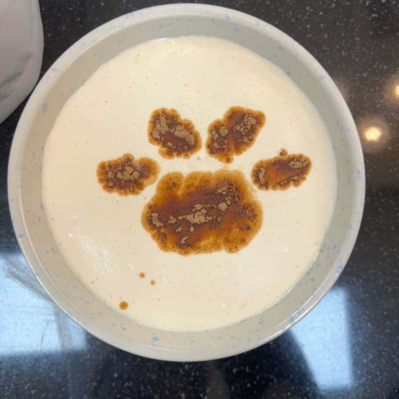 [양구배꼽마을]반려견과 함께 만드는 소소한 축억만들기 사진 4