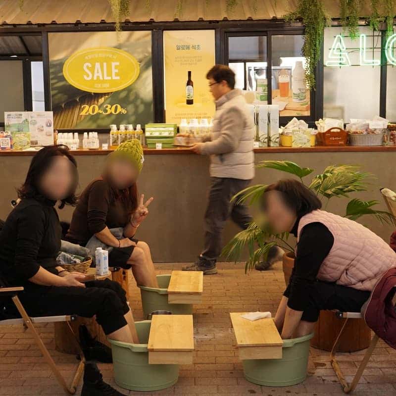 [김해/당일] 알로에농장 힐링 체험 사진 1