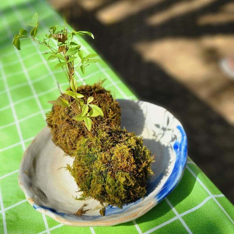 [아산/1박] 계곡에서 즐기는 천아트체험+셀프 바베큐 사진 2