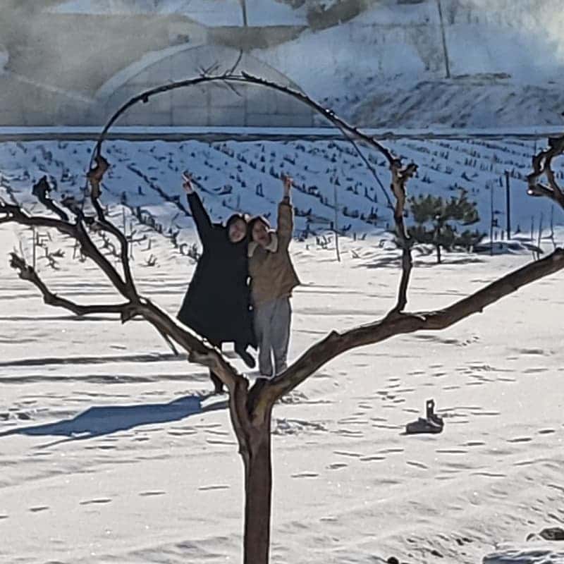 [강릉/당일] 소녀감성 가득한 공간에서 전통떡 체험 사진 1