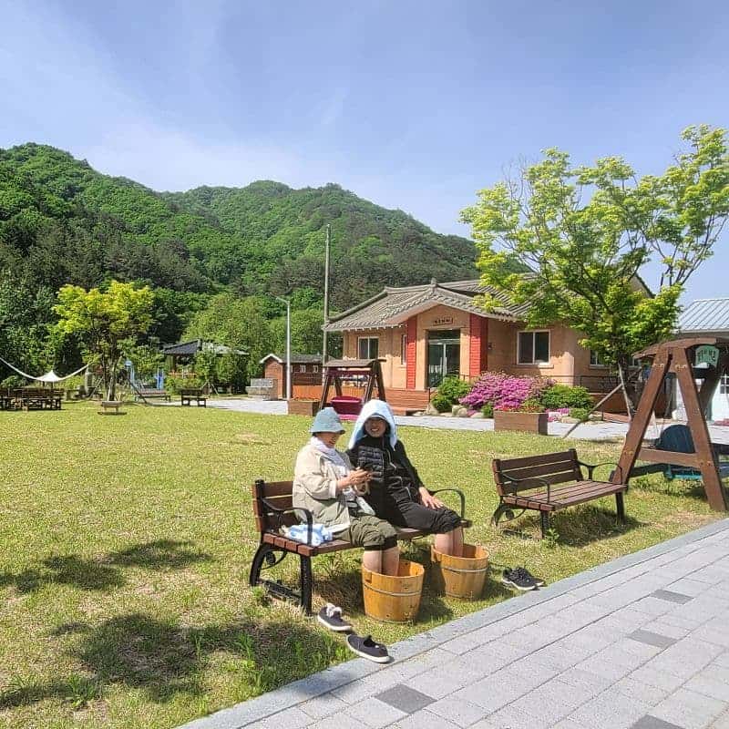 [홍천/1박]언니네 텃밭서리 + 에코염색 + 약초 족욕 사진 5