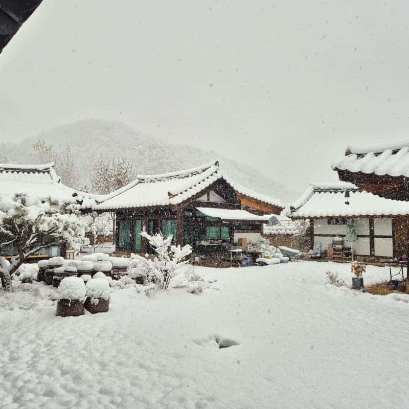 [영월/1박] 한옥 고택+전통주 만들기+로컬 푸드 조식 사진 5