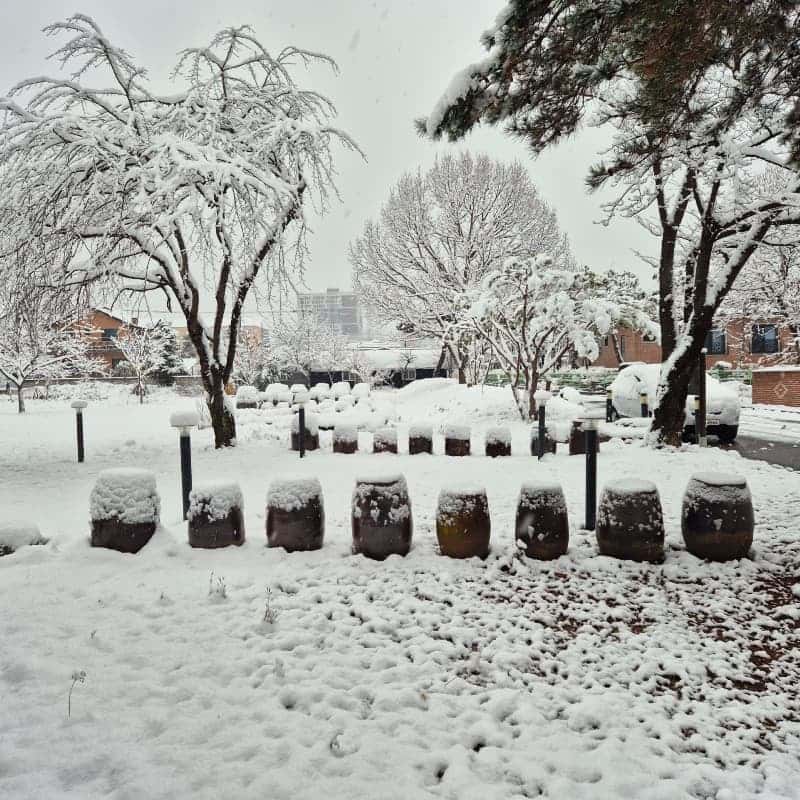 [영월/1박] 한옥 고택+전통주 만들기+로컬 푸드 조식 사진 6