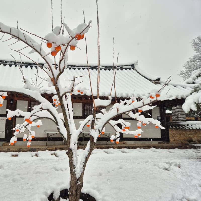 [영월/1박] 한옥 고택+전통주 만들기+로컬 푸드 조식 사진 7