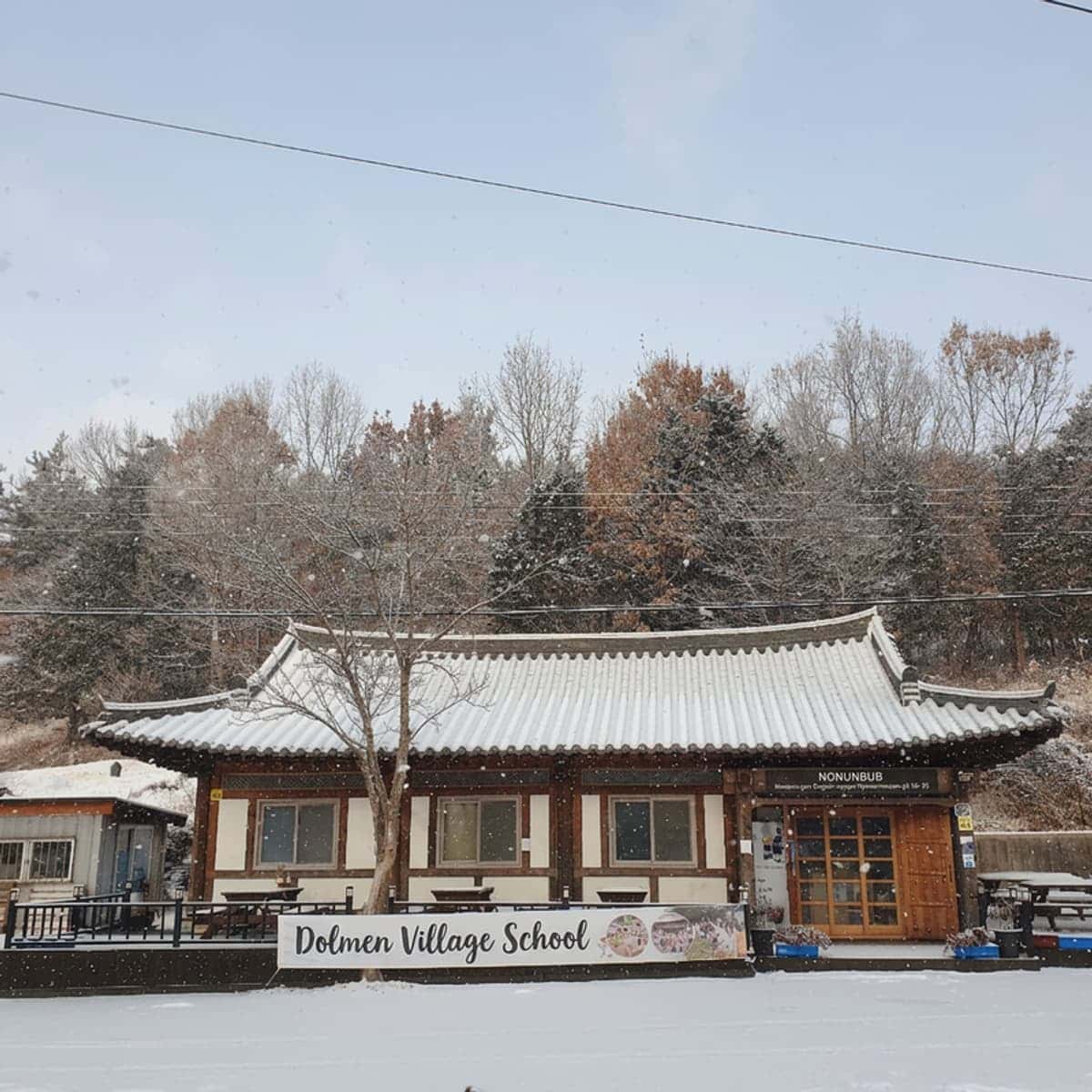 [Hwasun] Dolmen Sites Commentary + Forest Trekking + 2 Meals + Accommodation