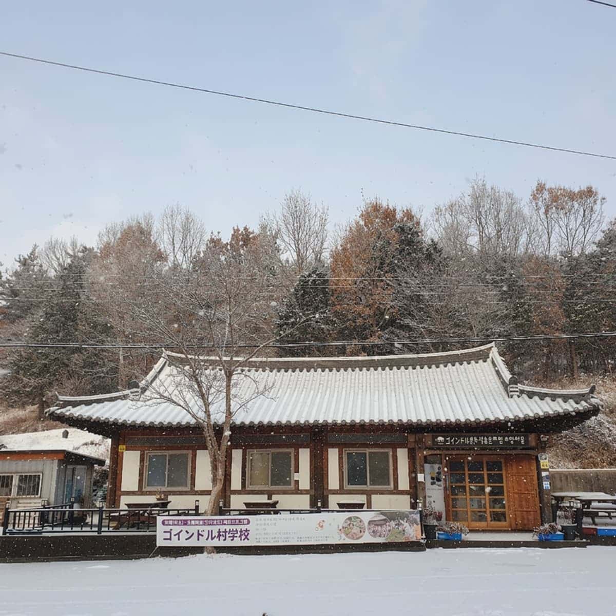 [和順] 支石墓遺跡地解説+森トレッキング+食事2食+宿泊
