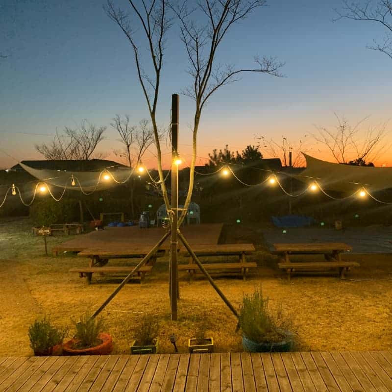 [나주/1박] 반려견동반+팜쿠킹 바베큐파티+한방 힐링 사진 5