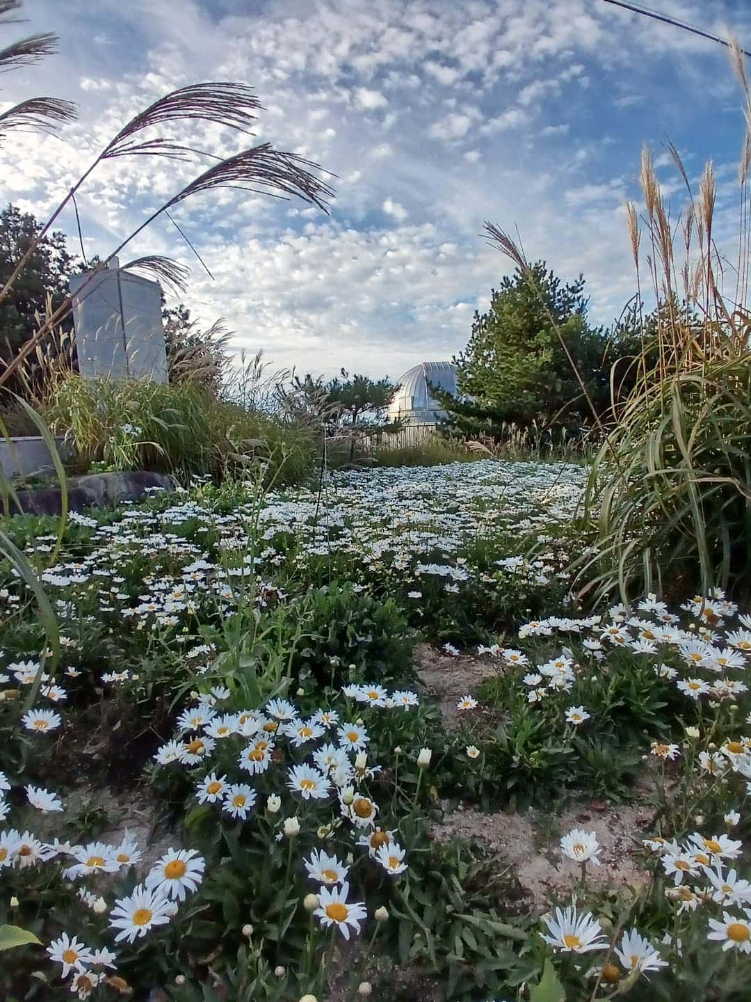 feed image 1