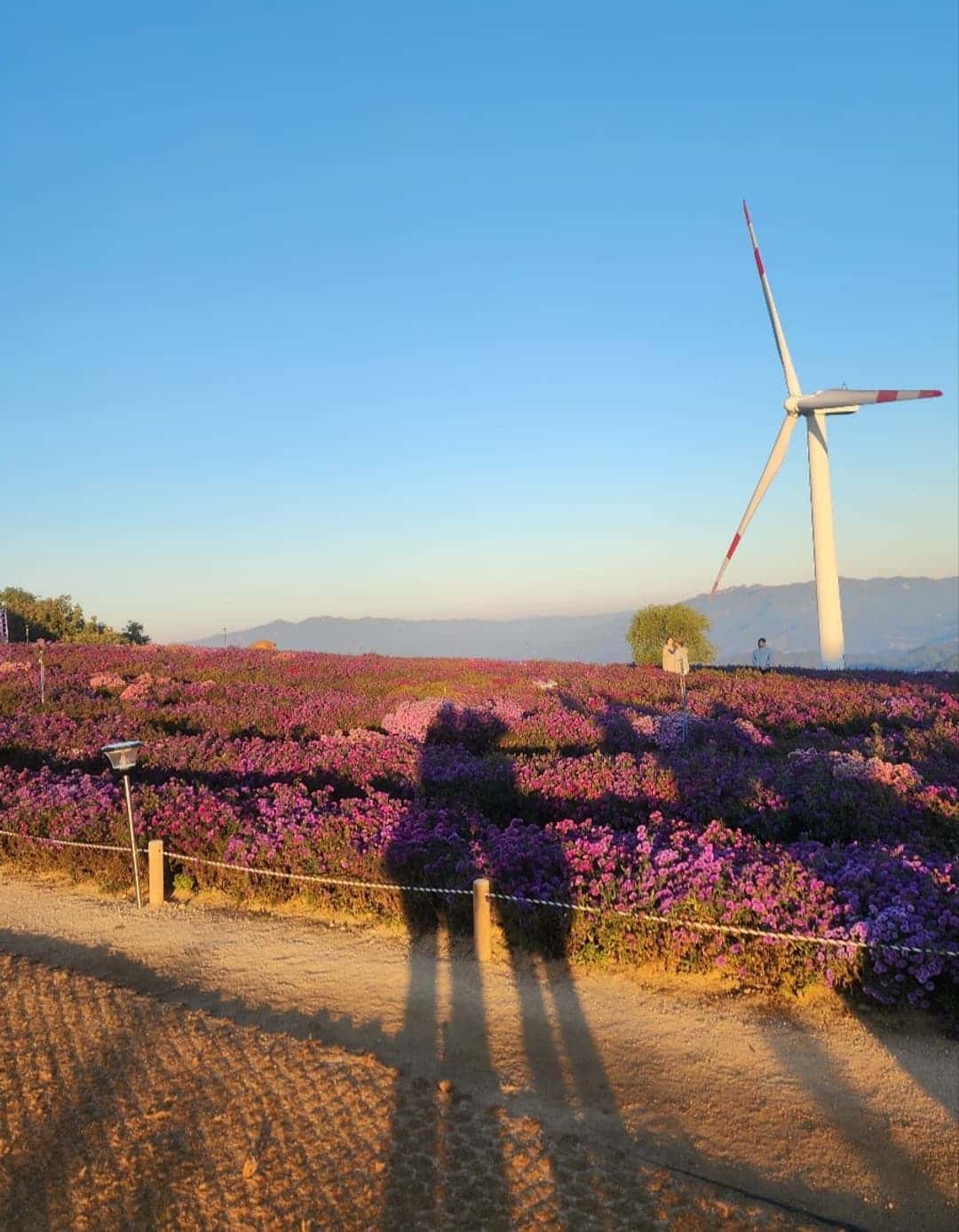 feed image 3