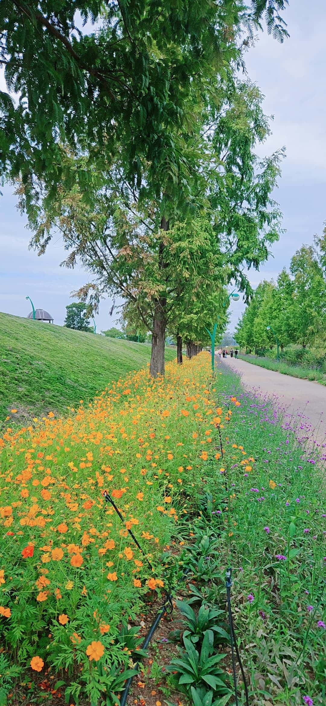 feed image 1