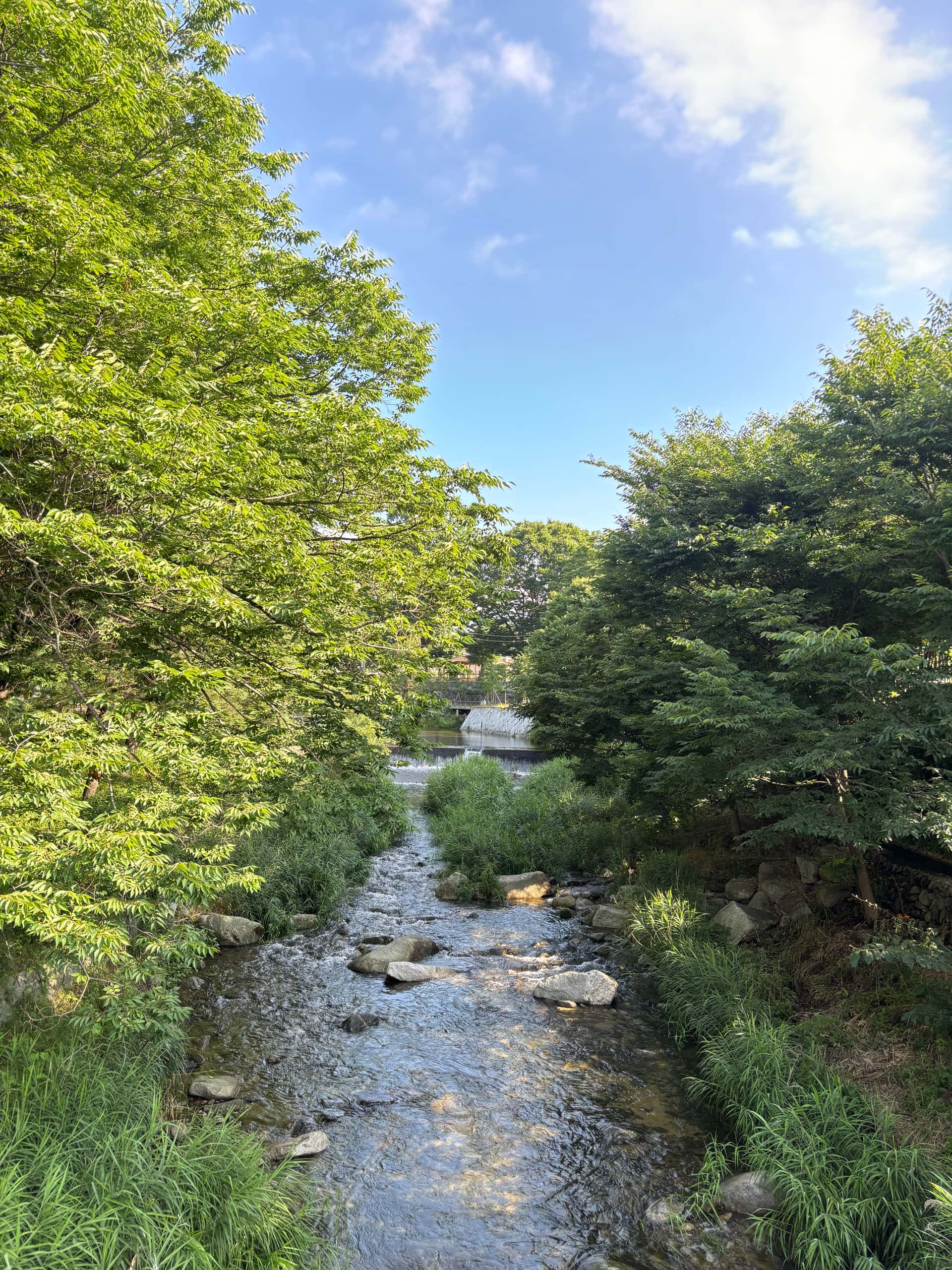 feed image 3