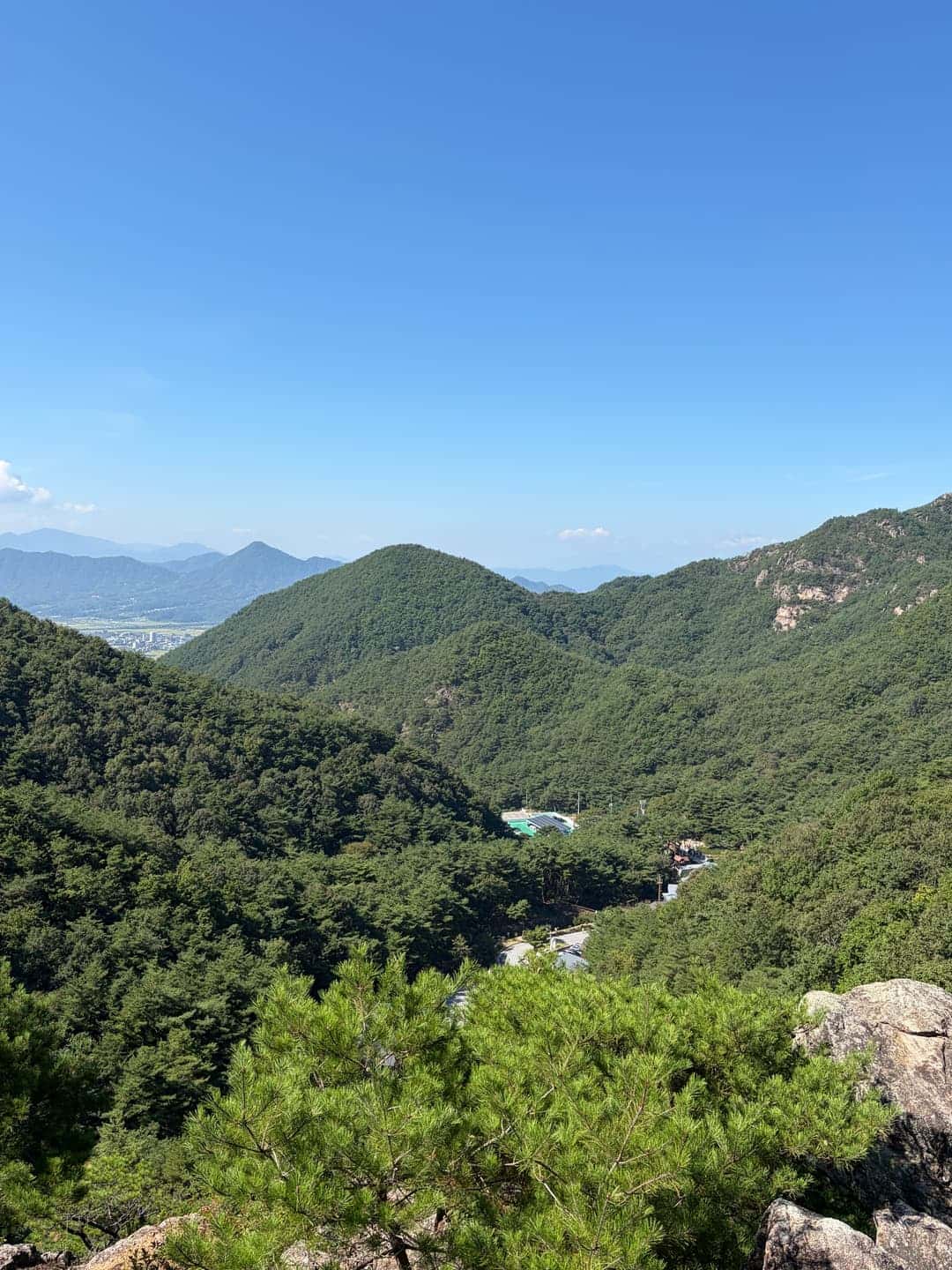 feed image