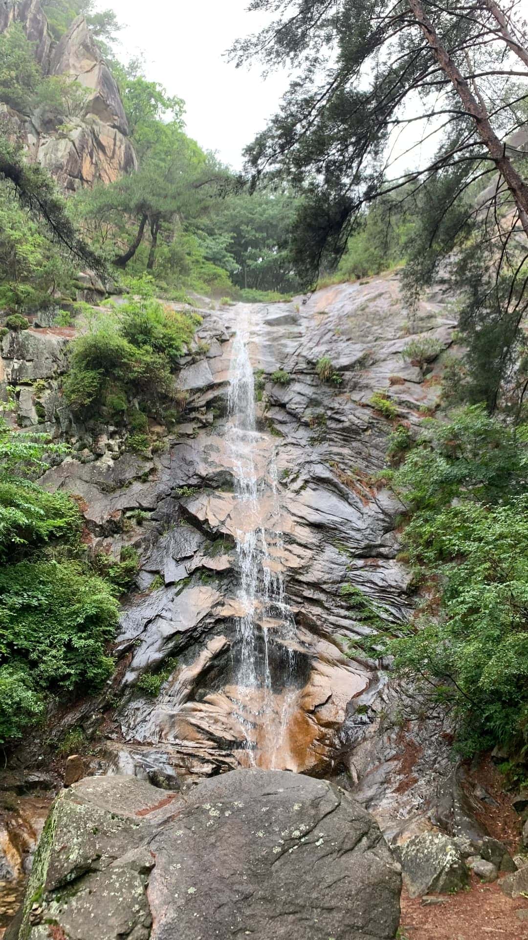 feed image 4