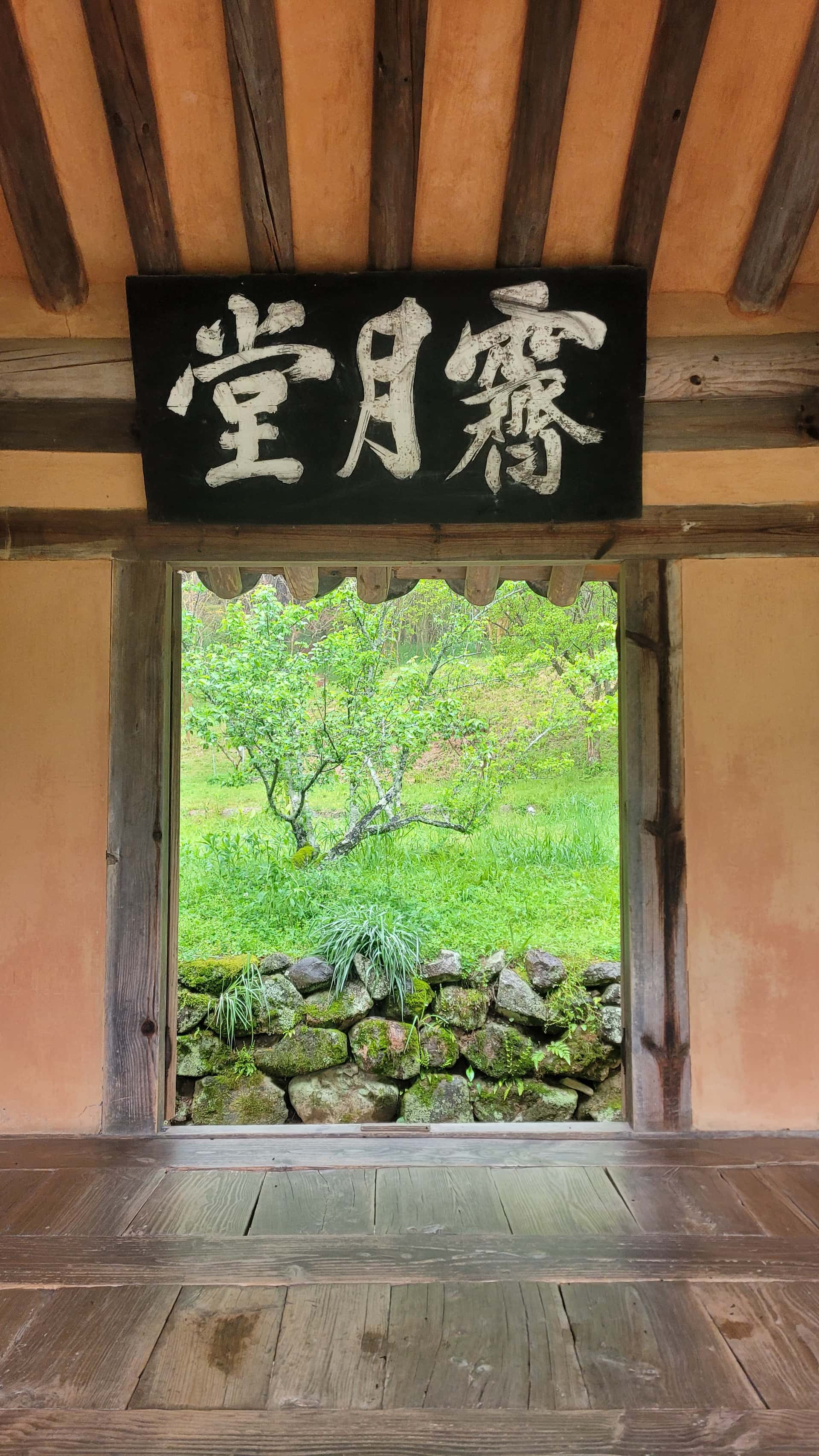 feed image 1