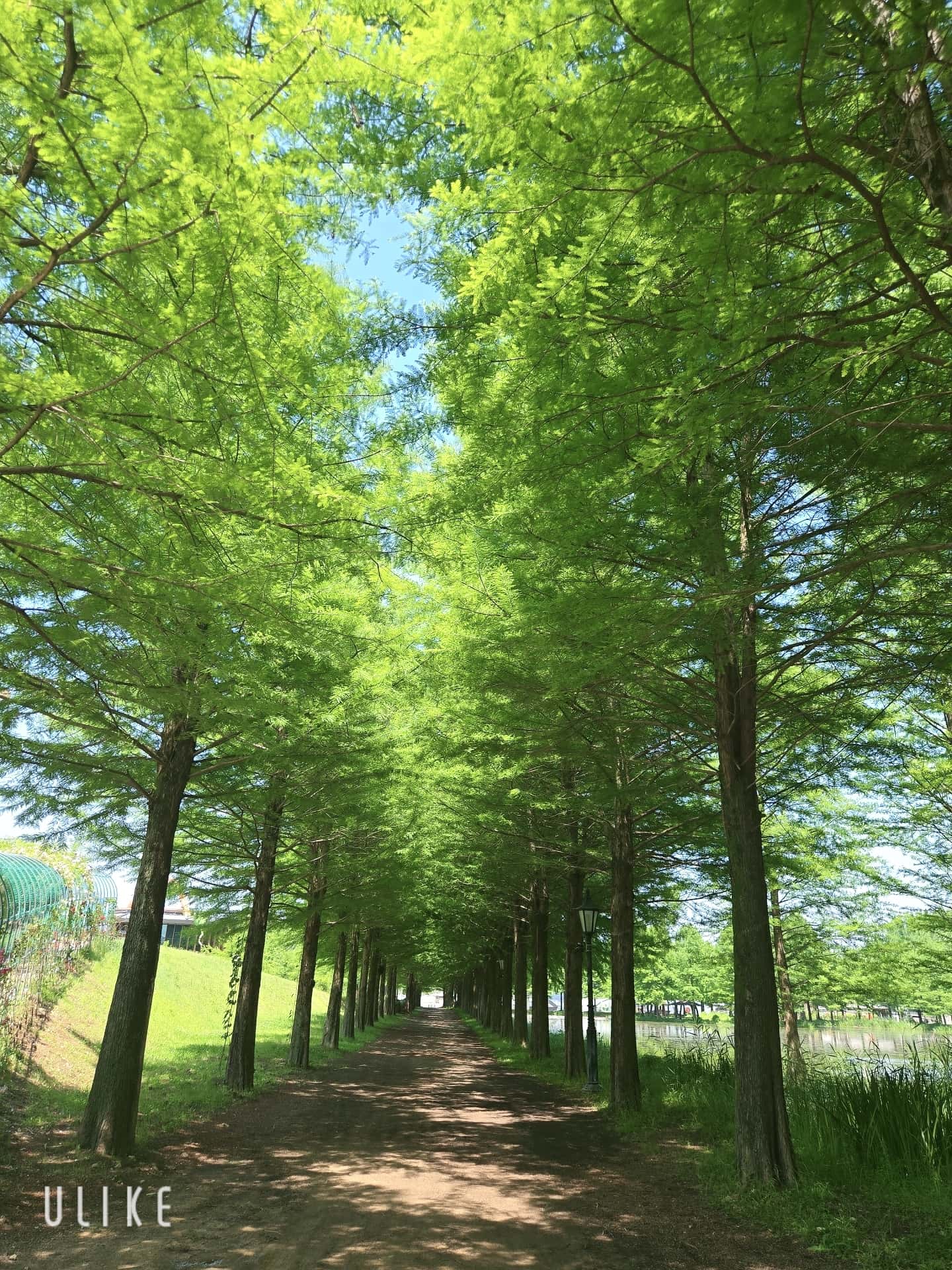 feed image 1