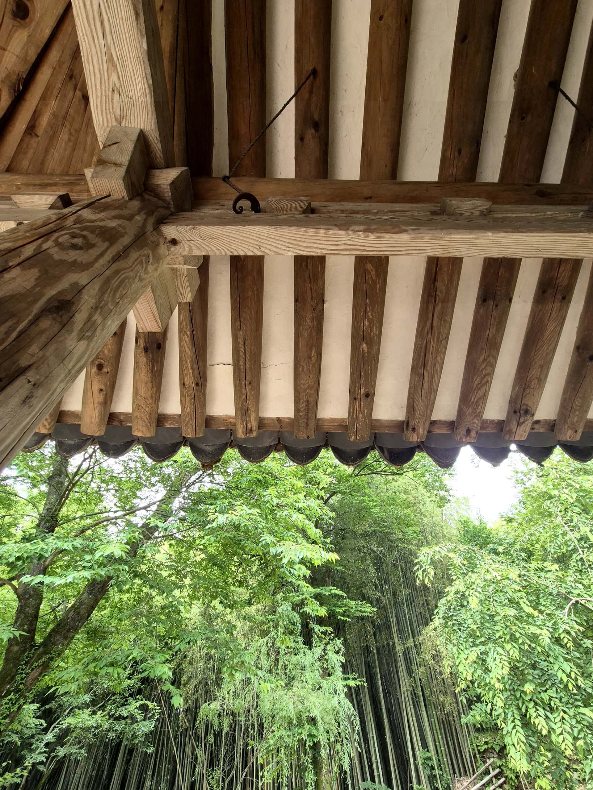 feed image 3