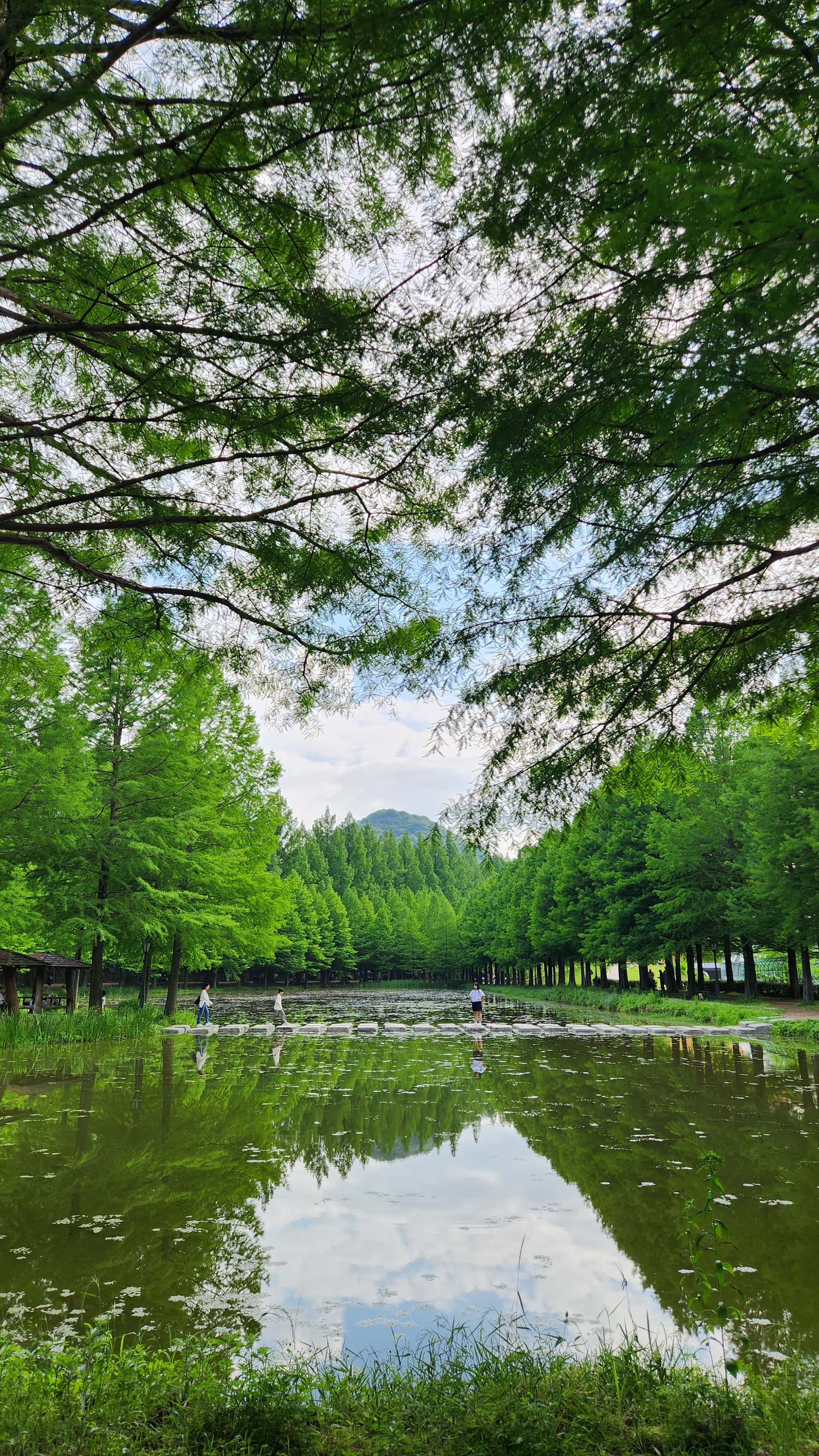 feed image
