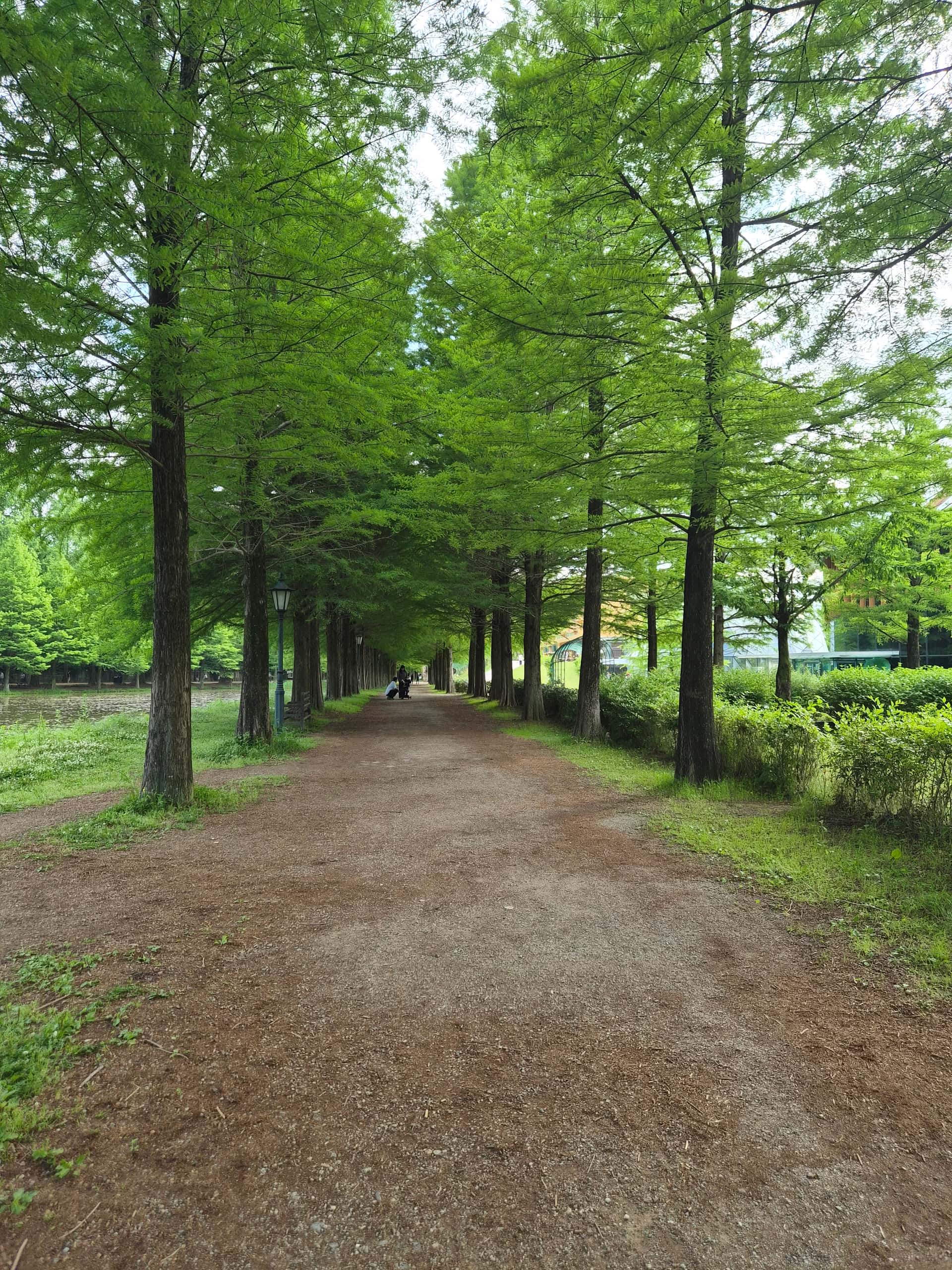 feed image