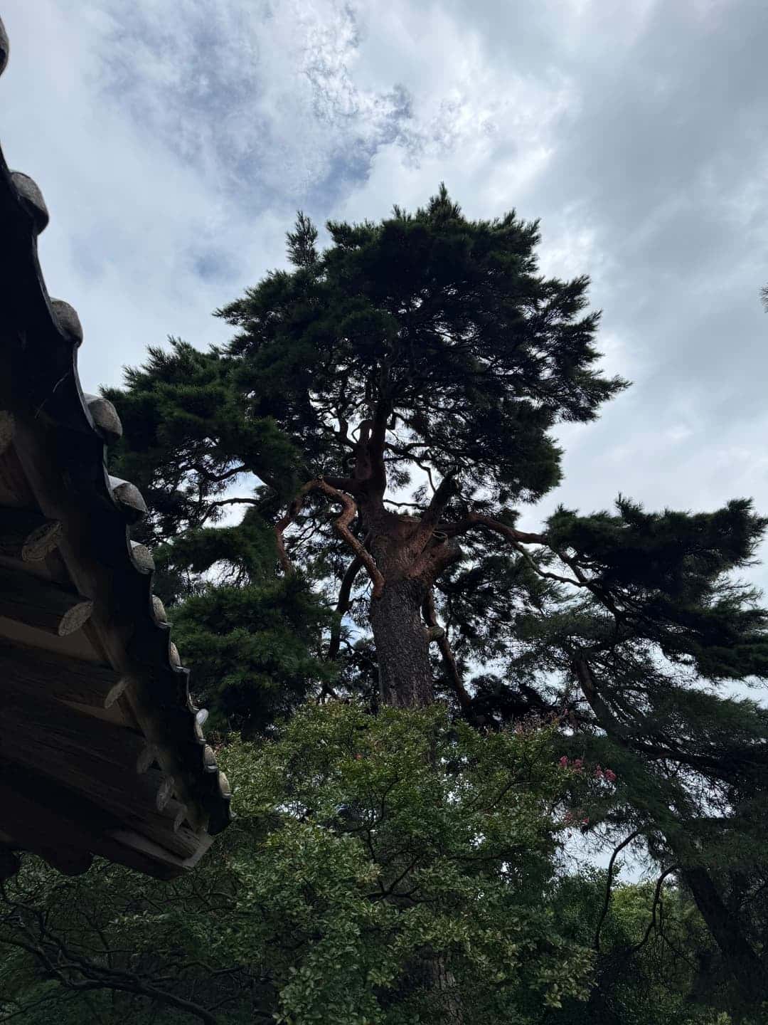 feed image 1