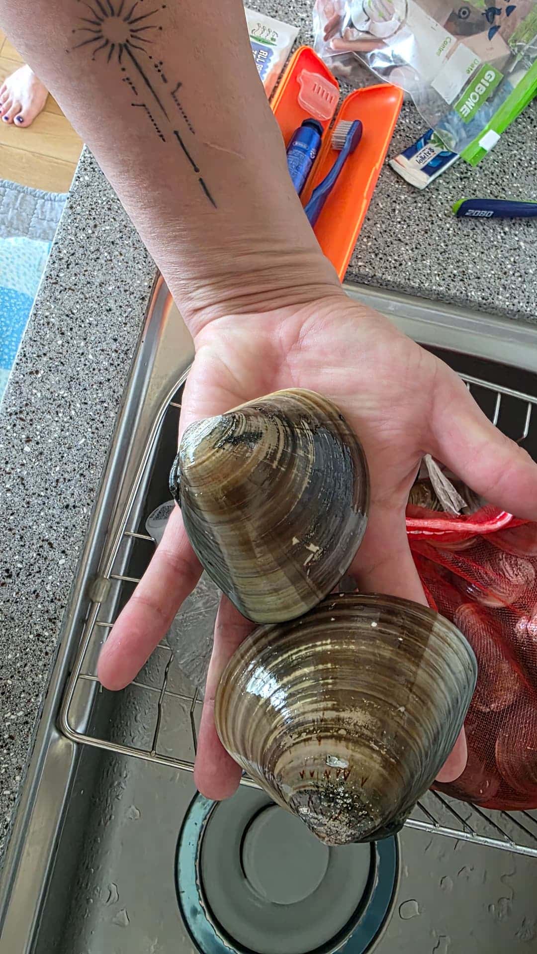 feed image 3