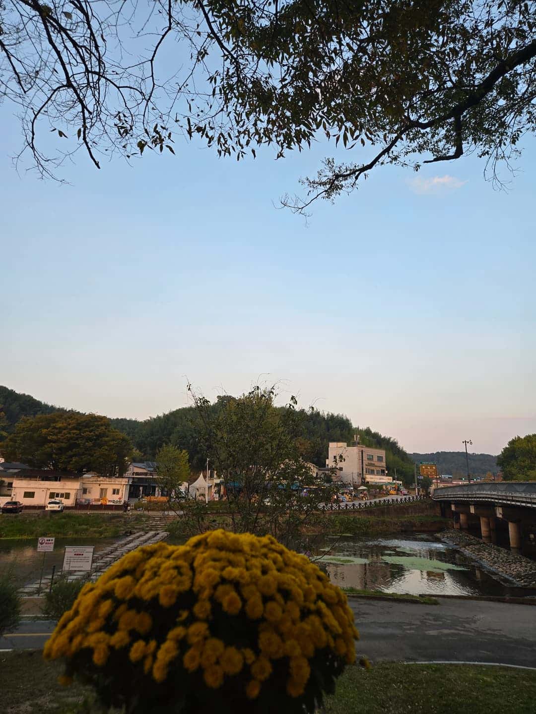 feed image 4