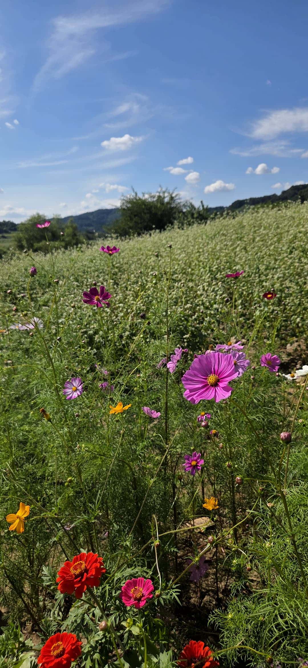 feed image 3