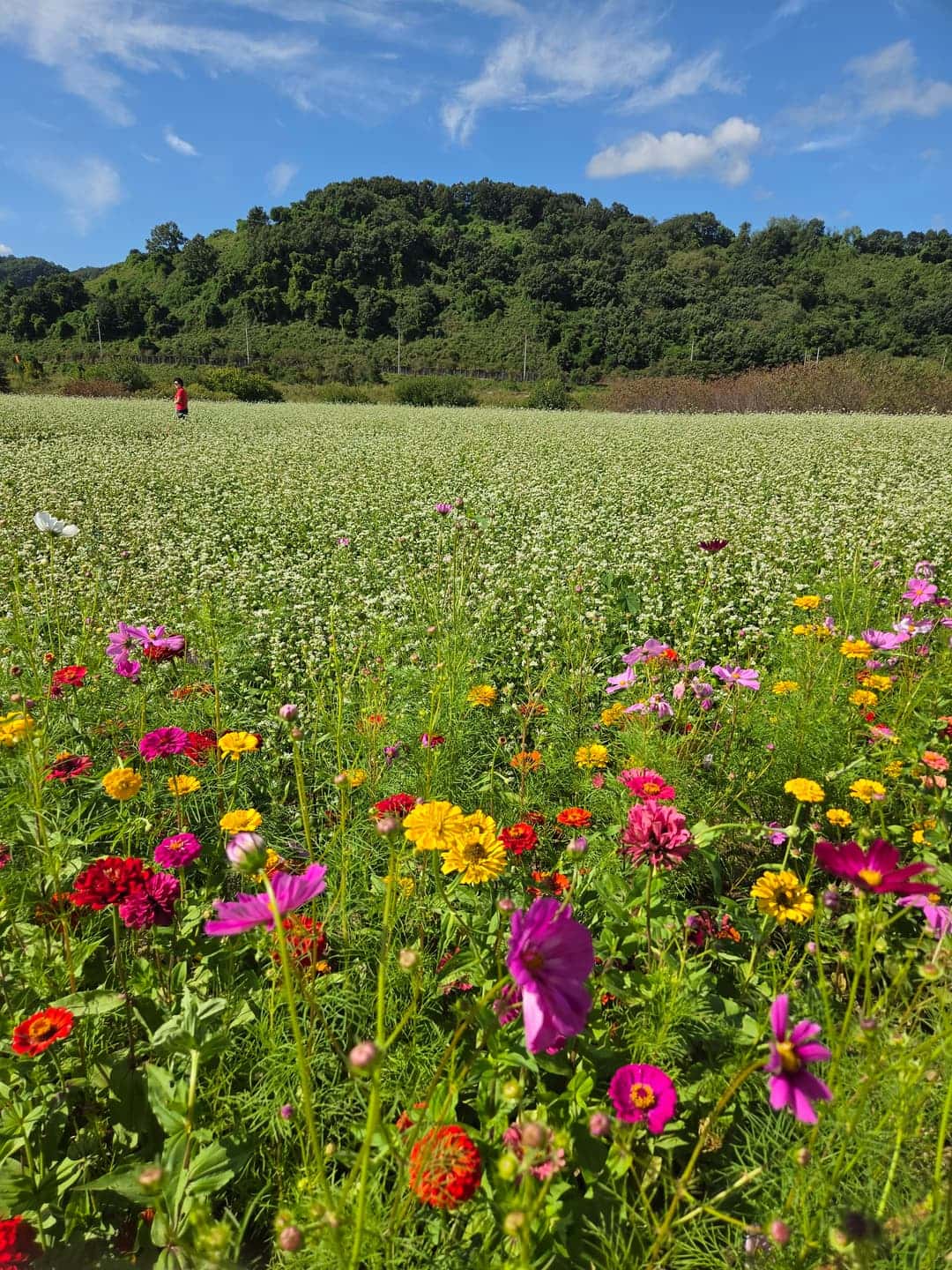 feed image 3