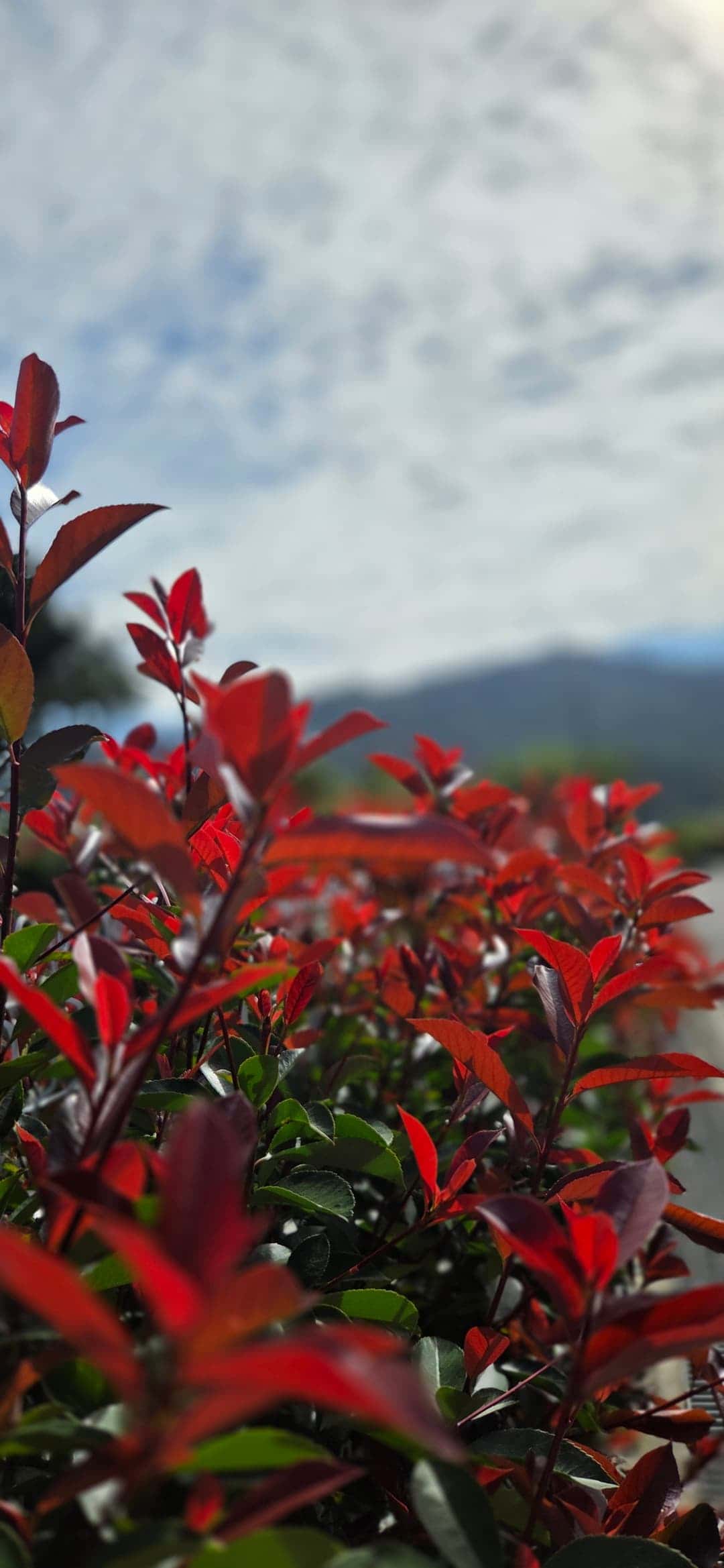 feed image 4