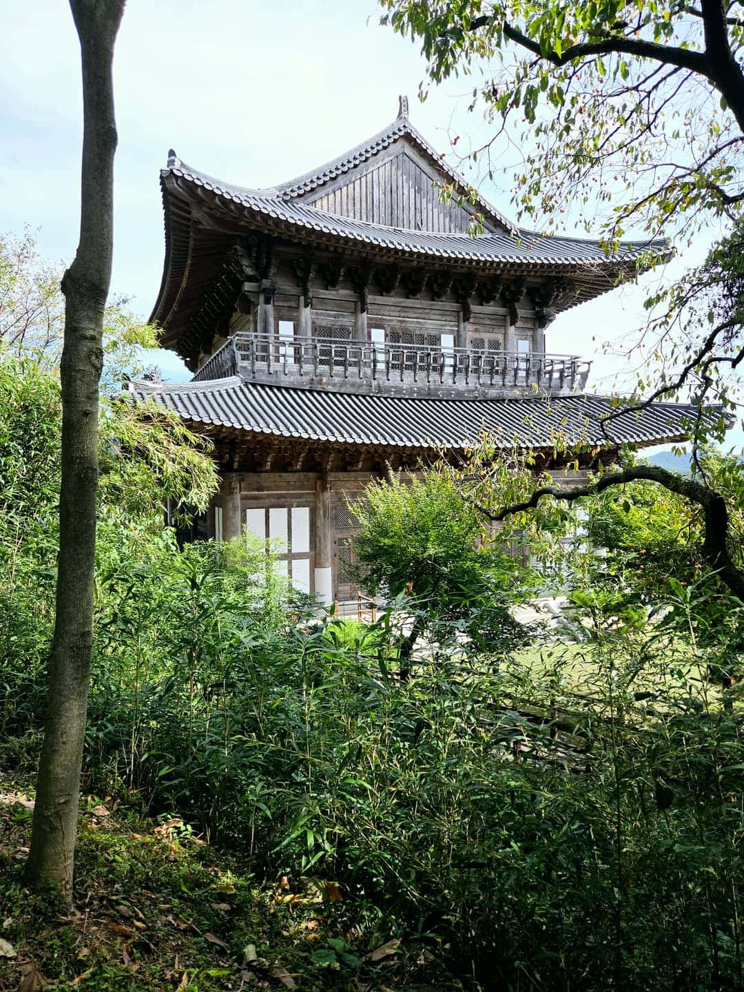 feed image 1