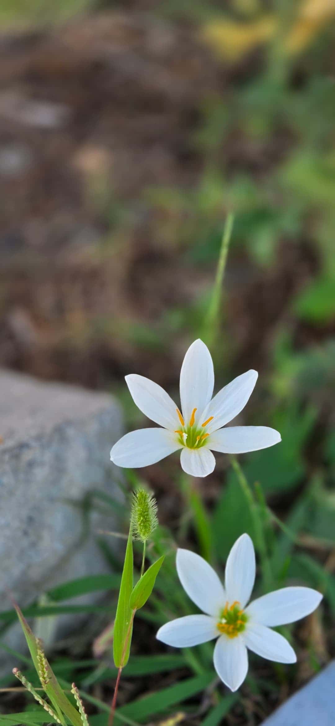 feed image 3
